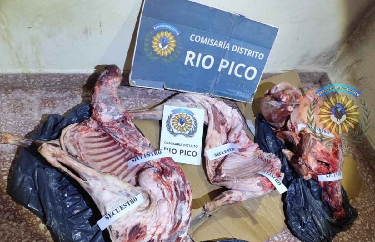 Golpe al abigeato en Río Pico: secuestraron animales faenados que eran transportados ilegalmente