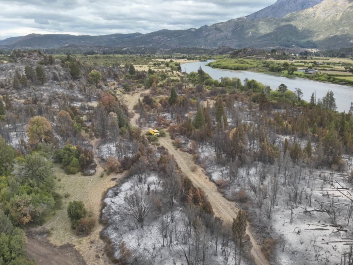 Incendio en Los Alerces hoy: lluvia y focos contenidos traen alivio