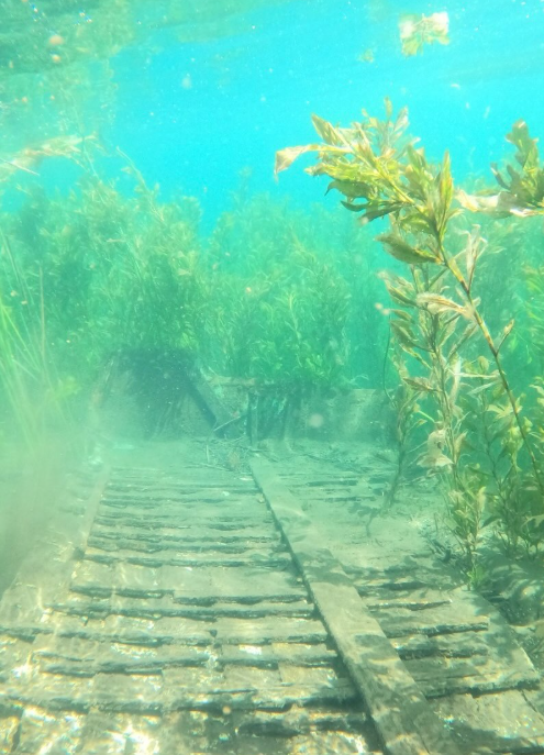 Buzos científicos documentan embarcaciones hundidas en el Lago Rivadavia
